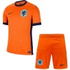 Camisola + Calções Holanda Criança Equipamento 1ª Euro 2024